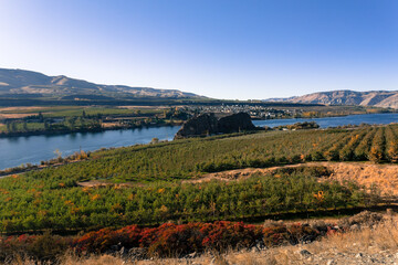 Lake Chelan plant fields in a beautiful autumn day. Chelan, Washington