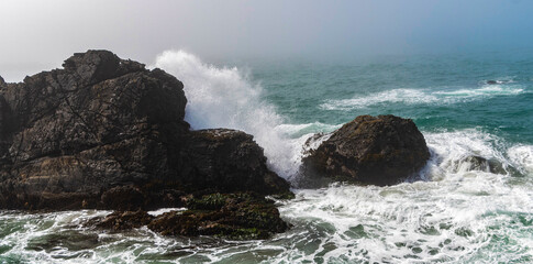 Fototapeta premium Crashing waves on the Pacific Coast at Sea Ranch, CA