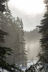 fog in the mountains
