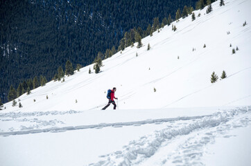 Fototapeta na wymiar skiing across the backcountry of colorado
