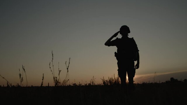 Silhouette of soldier saluting during sunset on field, war and army concept.