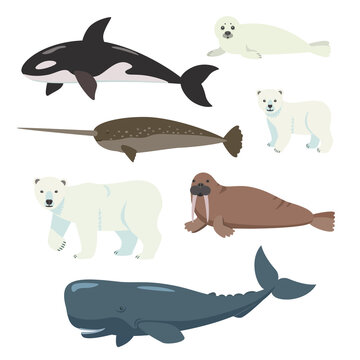 Set of cartoon polar animals, whales and bears isolated on white background