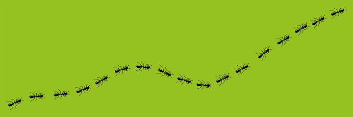 Ants trail. Route or path of worker ants isolated in green background. Vector illustration
