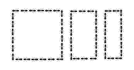Black ants square border. Set with ants forming rectangular shape isolated in white background. Vector illustration