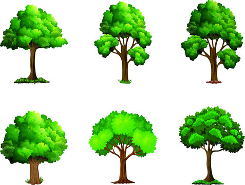 Collection of Realistic Trees Isolated on White Background.