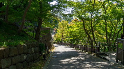 Fototapeta premium 金沢城公園 風景