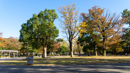 金沢城公園 風景