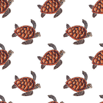 Watercolor turtles pattern on white