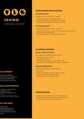 Professional resume templater best for applying for jobs