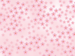 背景イメージ素材　咲き誇る春の桜　（2_1）