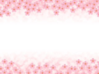 背景イメージ素材　満開の桜と白のスペース（1_1）　長方形ヨコ