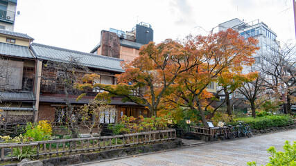 祇園四条 紅葉 風景