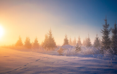 A beautiful golden sunlight in a snowy winter morning in Northern Europe rural areas. Winter landsape with trees.