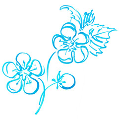 Marker bright blue flower with leaves hand drawn line stroke strawberries
