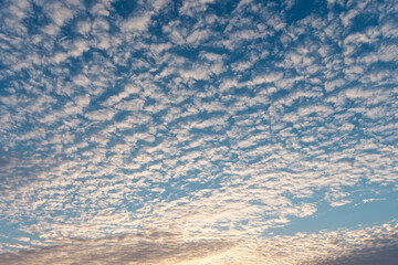 Blue sky background full of white clouds, beautiful cloudy sky in sunset or sun rise time.