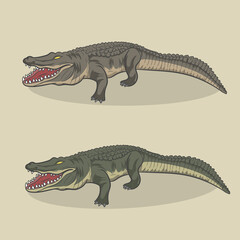 Crocodile vector illustration. Alligator