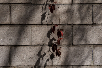 Brick wall texture, loft style, destruction of concrete and stone, antiquity corrosion, foundations of building floors, chips, cracks