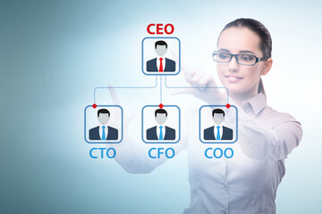 Businesswoman in the organisation chart concept