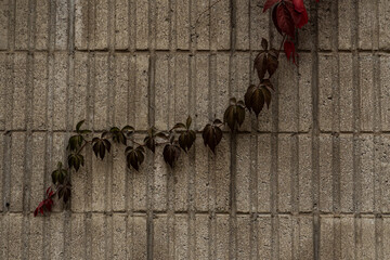 Brick wall texture, loft style, destruction of concrete and stone, antiquity corrosion, foundations of building floors, chips, cracks
