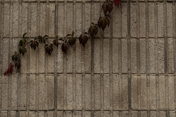 Brick wall texture, loft style, destruction of concrete and stone, antiquity corrosion, foundations of building floors, chips, cracks
