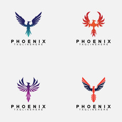 Set Phoenix logo Vector Illustration Design Template