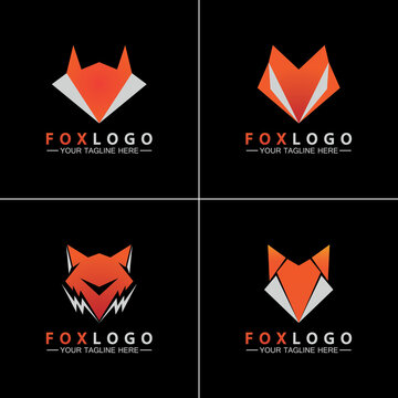 Set Fox logo Vector illustration design template
