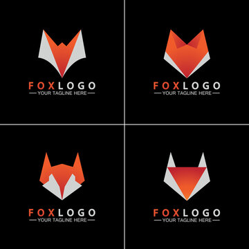 Set Fox logo Vector illustration design template