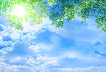 新緑　葉　風景　背景