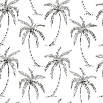 Hand painted  seamless pattern with ink palm trees