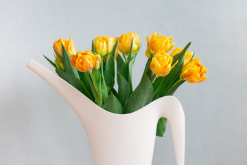 bunch of yellow tulips in a white bailer closeup, gardening or holiday concept
