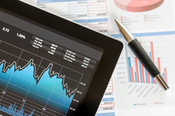Working On a Budget with a Digital Tablet