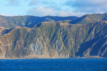 New Zealand coast