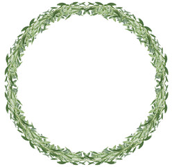 couronne de feuilles d’oliviers, fond blanc 