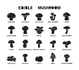 Edible mushrooms with name, black silhouette icons set. Vector illustration of champignon, boletus, porcini, shiitake, truffle, morel, russula. Hand drawn isolated pictogram on white background