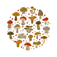 Cartoon edible mushrooms, brown round illustration. Color silhouette elements. Champignon, chanterelle, boletus, porcini, russula, shiitake. Contour vector icons on white background