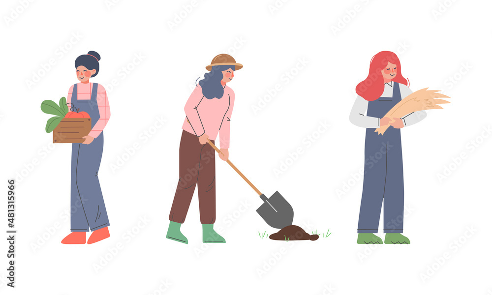 Poster woman farmer working in garden digging soil with shovel and carrying crate with ripe vegetable vecto