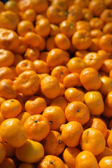 close up of a lot of orange 