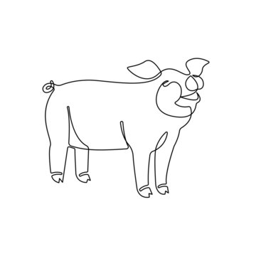 Continuous one line Pig drawing