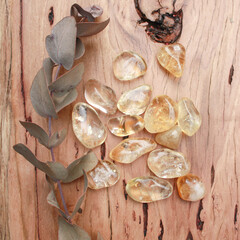 Citrine semiprecious crystal tumbled stone, semitransparent gold yellow rock on raw natural wood...