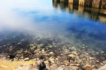 The Bay of Fundy in Nova Scotia Canada the coastline is absolutely teeming with plankton