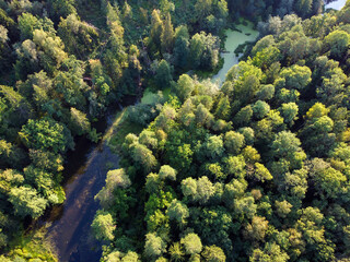 Fototapeta na wymiar River and green forest aerial view