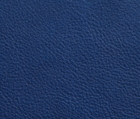 blue leather - 481319561