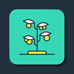 Filled outline Sprout icon isolated on blue background. Seed and seedling. Leaves sign. Leaf nature. Turquoise square button. Vector