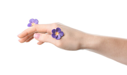 Female hand with flowers on white background