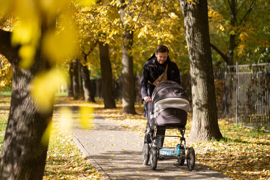 Happy young father with pram during the walk in nature