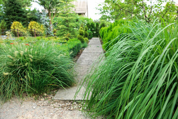 Alley in beautiful green park