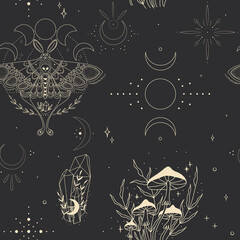 abstract mystical image of wild poisonous witch mushrooms. cosmic moon phases and rituals