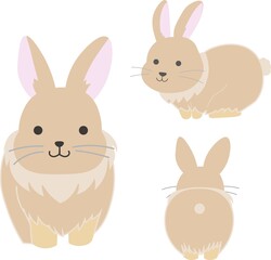 正面、背面、斜めからみたうさぎのイラスト