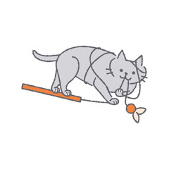 おもちゃで遊ぶ猫