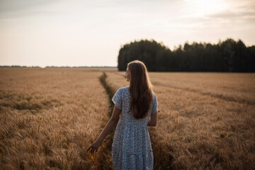 Back view of a girl having walk in the field of rye. Atmospheric autumn photo of a girl outdoors